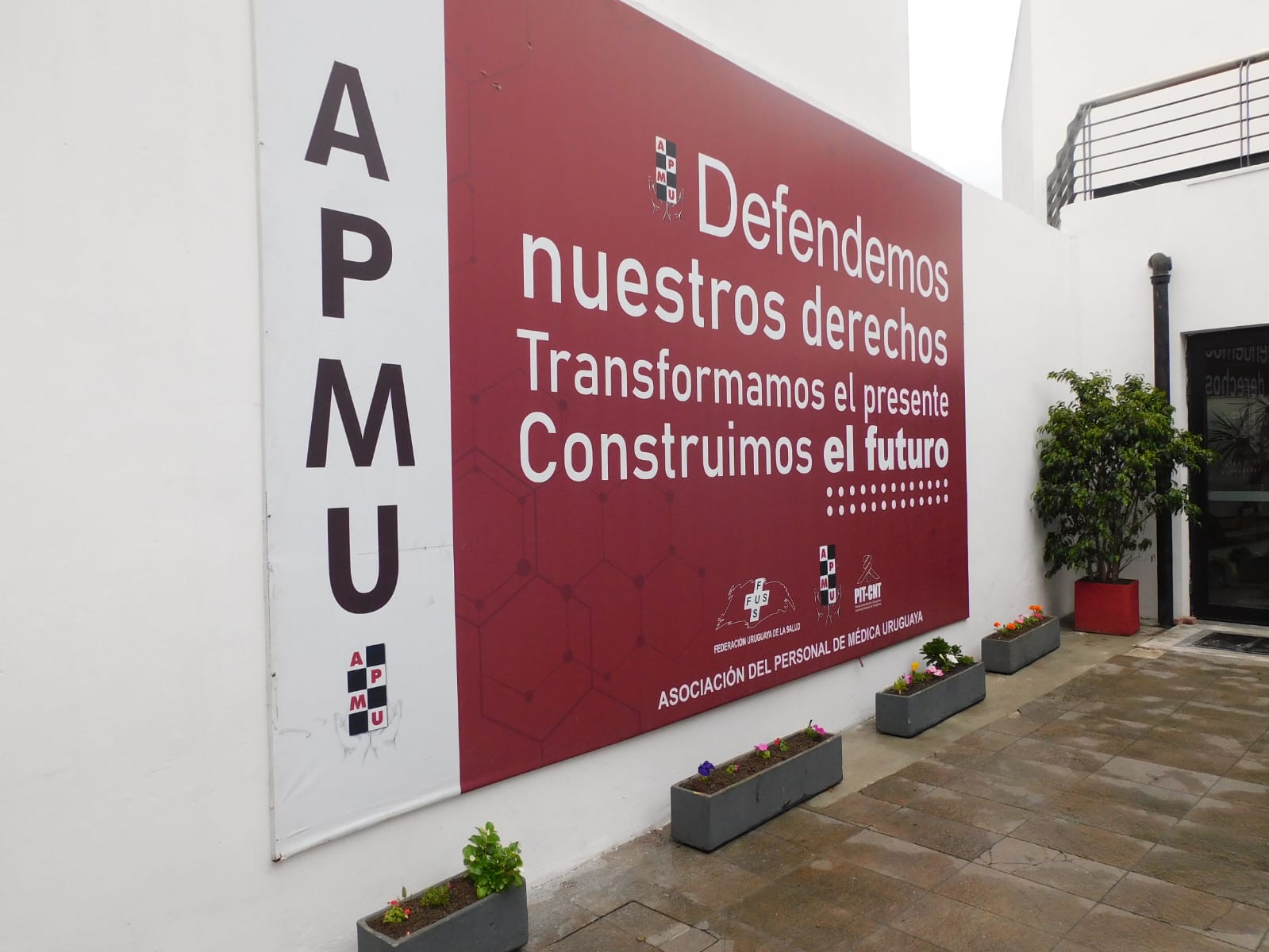 Actividad institucional de APMU